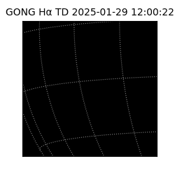 gong - 2025-01-29T12:00:22