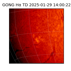 gong - 2025-01-29T14:00:22