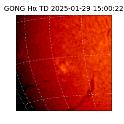 gong - 2025-01-29T15:00:22