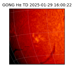 gong - 2025-01-29T16:00:22