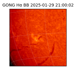 gong - 2025-01-29T21:00:02