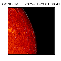 gong - 2025-01-29T01:00:42