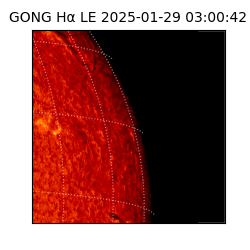 gong - 2025-01-29T03:00:42