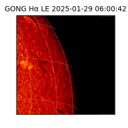 gong - 2025-01-29T06:00:42