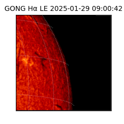gong - 2025-01-29T09:00:42