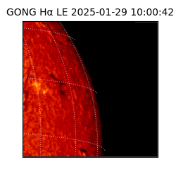 gong - 2025-01-29T10:00:42