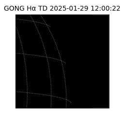 gong - 2025-01-29T12:00:22