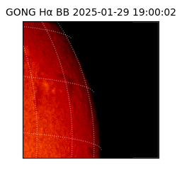 gong - 2025-01-29T19:00:02