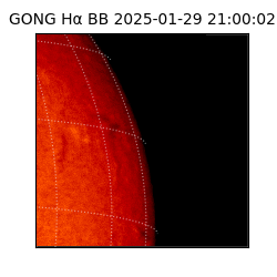 gong - 2025-01-29T21:00:02