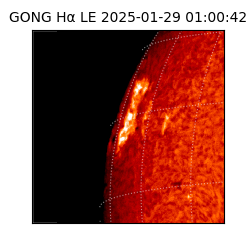 gong - 2025-01-29T01:00:42