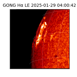 gong - 2025-01-29T04:00:42
