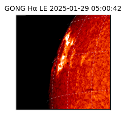 gong - 2025-01-29T05:00:42
