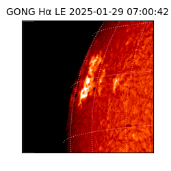 gong - 2025-01-29T07:00:42
