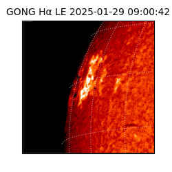 gong - 2025-01-29T09:00:42