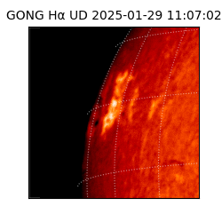 gong - 2025-01-29T11:07:02