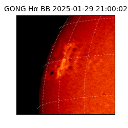 gong - 2025-01-29T21:00:02