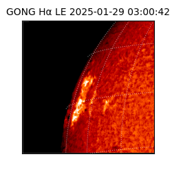 gong - 2025-01-29T03:00:42