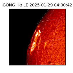 gong - 2025-01-29T04:00:42