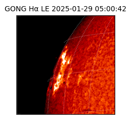 gong - 2025-01-29T05:00:42
