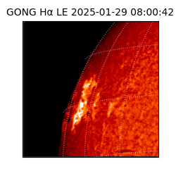 gong - 2025-01-29T08:00:42