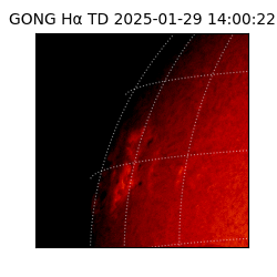 gong - 2025-01-29T14:00:22