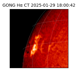 gong - 2025-01-29T18:00:42