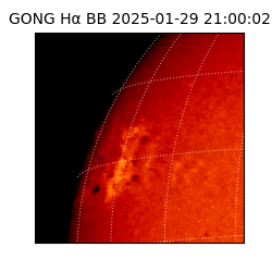 gong - 2025-01-29T21:00:02