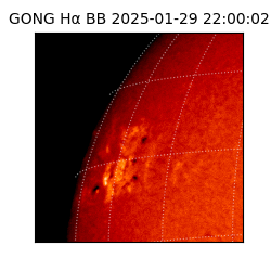 gong - 2025-01-29T22:00:02