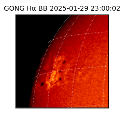 gong - 2025-01-29T23:00:02