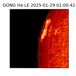 gong - 2025-01-29T01:00:42