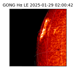 gong - 2025-01-29T02:00:42