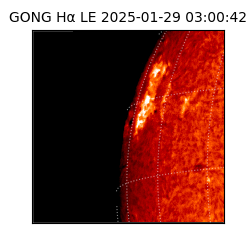 gong - 2025-01-29T03:00:42