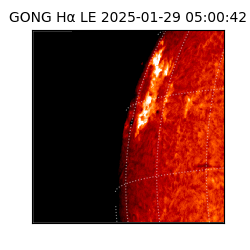 gong - 2025-01-29T05:00:42