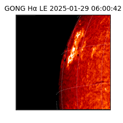 gong - 2025-01-29T06:00:42