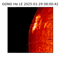 gong - 2025-01-29T08:00:42