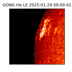 gong - 2025-01-29T09:00:42