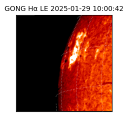 gong - 2025-01-29T10:00:42