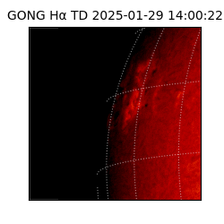 gong - 2025-01-29T14:00:22