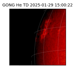 gong - 2025-01-29T15:00:22