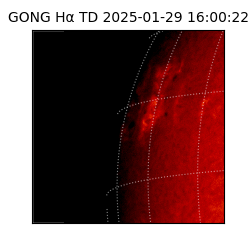 gong - 2025-01-29T16:00:22