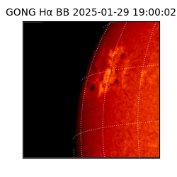 gong - 2025-01-29T19:00:02