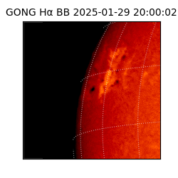gong - 2025-01-29T20:00:02