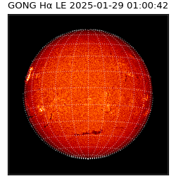 gong - 2025-01-29T01:00:42
