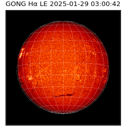 gong - 2025-01-29T03:00:42