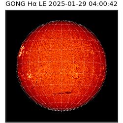 gong - 2025-01-29T04:00:42
