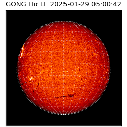 gong - 2025-01-29T05:00:42