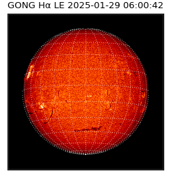 gong - 2025-01-29T06:00:42