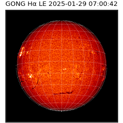 gong - 2025-01-29T07:00:42