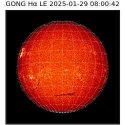 gong - 2025-01-29T08:00:42