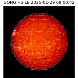 gong - 2025-01-29T09:00:42